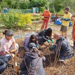 A group of people gardening and planting seeds at an allotment site.